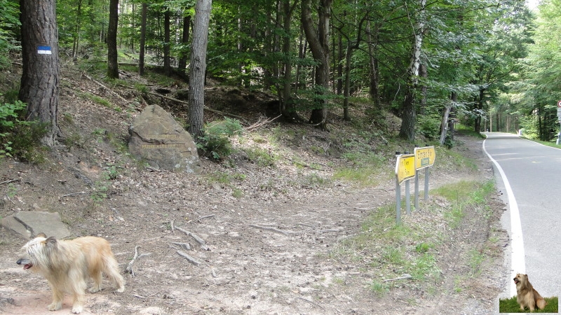 Ritterstein Nr. 239-6b Huettenhohl - Ruine alte Huette, Ubac.JPG - Ritterstein Nr.239 Huettenhohl - Ruine alte Huette